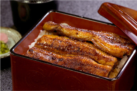 うなぎ・丼重(漆器)