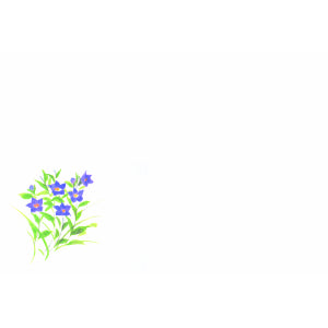 尺3紙マット(5月〜8月) 桔梗（7月〜8月）（品番 86-008-03）