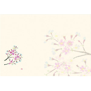 尺3紙マット(四季の花シリーズ4月～9月) サクラ（4月）（品番 86-009-01）