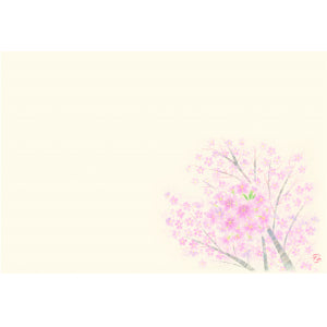 尺3紙マット(四季の花シリーズ4月～9月) 桜（3月〜5月）（品番 86-010-01）