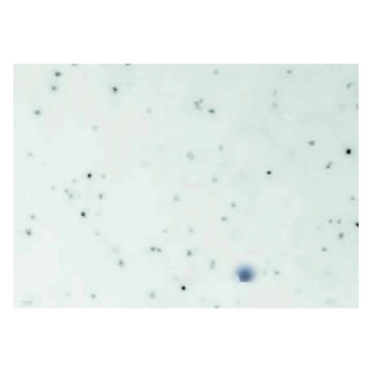 注水式スリムスタンド（石目調） 86-145-05_04.webp（印字145ページ）